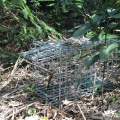 Cage de chat à double porte à double porte.